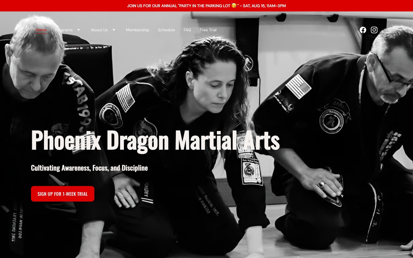 The Phoenix Dragon Martial Arts website homepage